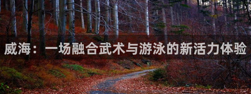 vsport体育官方正版app代理