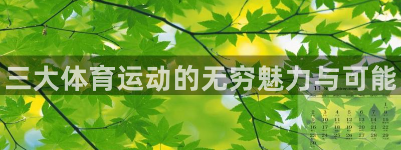 vsport体育官网下载招商电话号码是多少啊