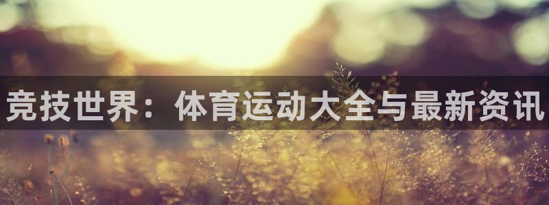 vsport体育官方正版app娱乐网站