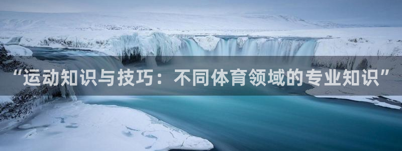 vsport体育官网下载平台：“运动知识与技巧：不同体育领域