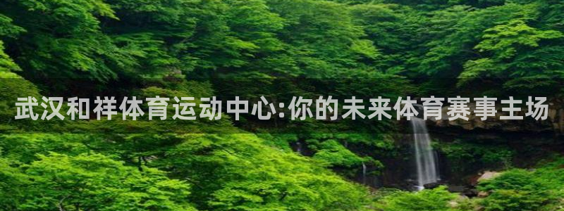 vsport体育官方正版app官方：武汉和祥体育运动中心:你