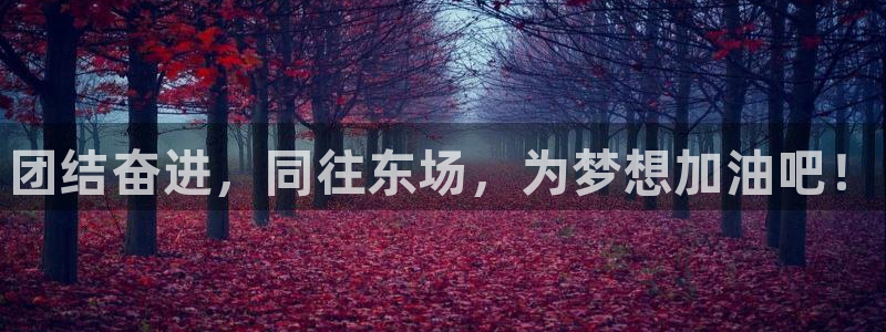vsport体育官网下载平台假的吗是真的吗吗