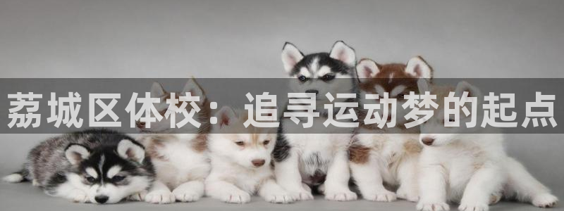 vsport体育官网下载招商电话：荔城区体校：追寻运动梦的起