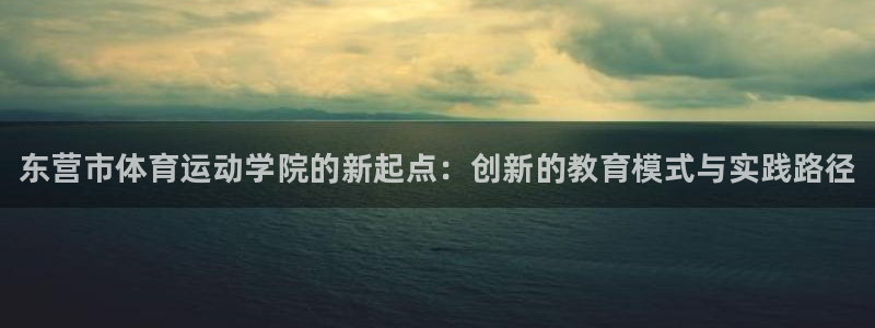 vsport体育官网下载是干嘛的公司：东营市体育运动学院的新