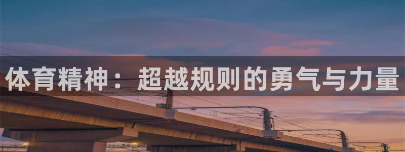 vsport体育官方平台体育：体育精神：超越规则的勇气与力量