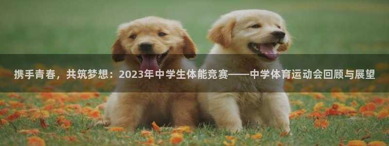 vsport体育官网下载联系电话