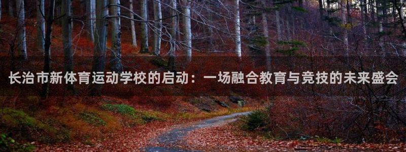 vsport体育官方正版app新能源