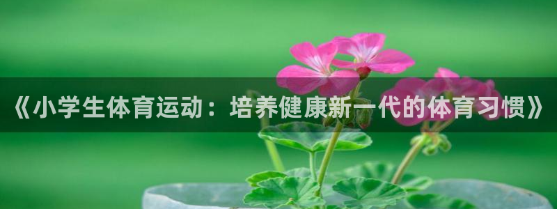 海南vsport体育官网下载