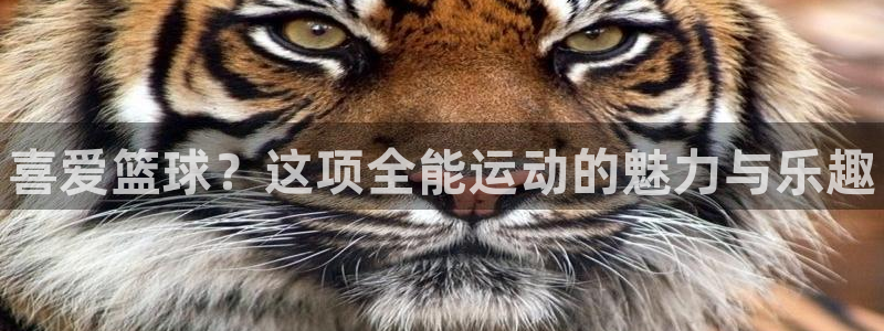 vsport体育官网下载平台假的吗是真的吗吗：喜爱篮球？这项