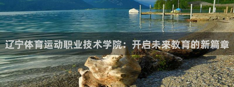 海南vsport体育官网下载：辽宁体育运动职业技术学院：开启