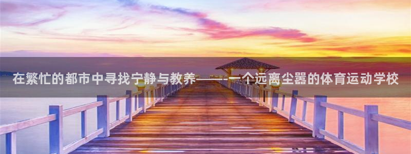 vsport体育官网下载招商电话地址查询：在繁忙的都市中寻找