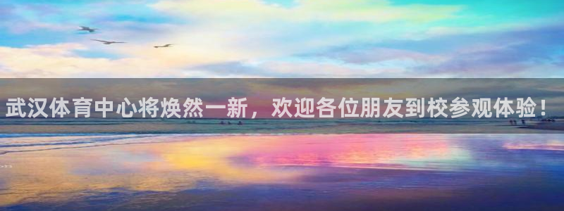 vsport体育官方正版app娱乐网站：武汉体育中心将焕然一