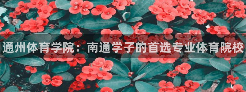 vsport体育官网下载