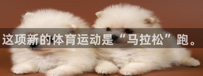 vsport体育官方正版app集团：这项新的体育运动