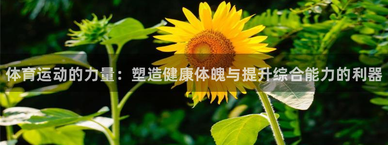 vsport体育官网下载招商电话是多少啊