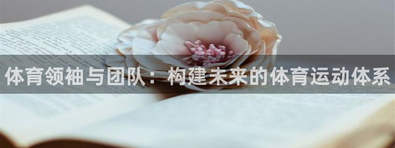 vsport体育官网下载