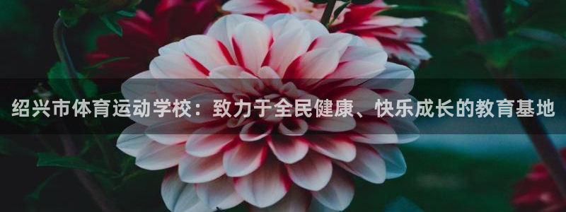 vsport体育官方集团官网