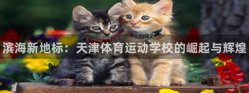 vsport体育官方正版app代理