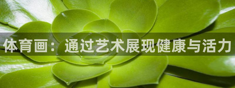 vsport体育官网下载平台假的吗是真的吗