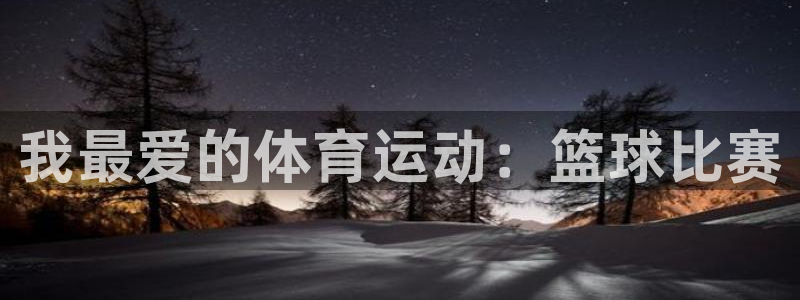 德国vsport体育官方正版app集团：我最爱的体育运动：篮