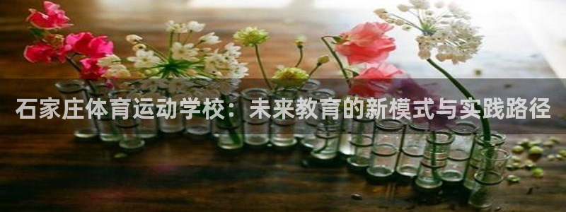 vsport体育官网下载招商电话号码：石家庄体育运动学校：未