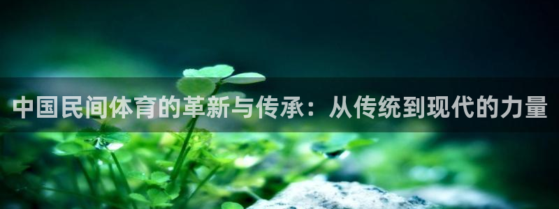 vsport体育官网下载软件：中国民间体育的革新与传承：从传