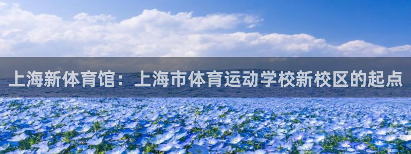 vsport体育官方正版app集团简介：上海新体育馆：上海市