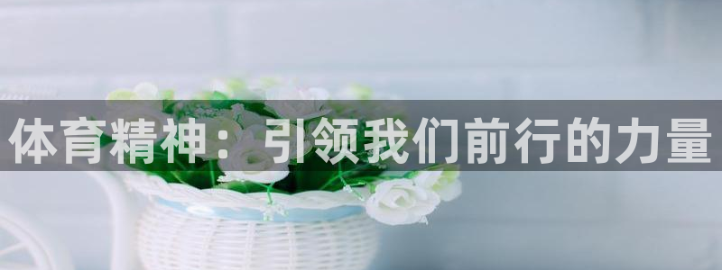 vsport体育官网下载开户