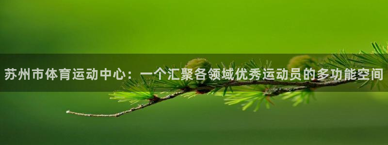 vsport体育官网下载招商电话地址是多少