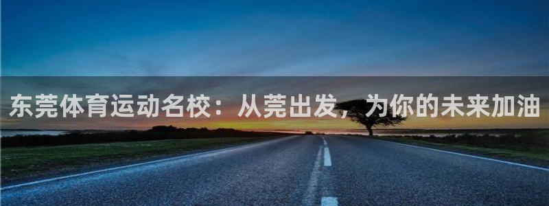 vsport体育官方正版app科技：东莞体育运动名校