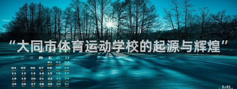 vsport体育官网下载平台注册要钱吗安全吗：“大同