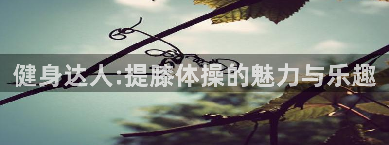 vsport体育官方正版app科技：健身达人:提膝体