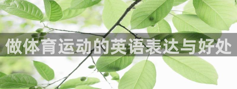 vsport体育官方正版app科技：做体育运动的英语