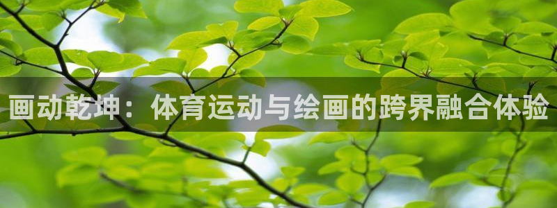 vsport体育官网下载招商电话是多少：画动乾坤：体