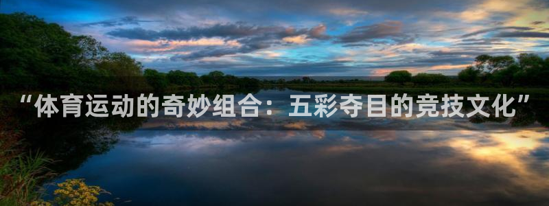vsport体育官方正版app五金厂：“体育运动的奇