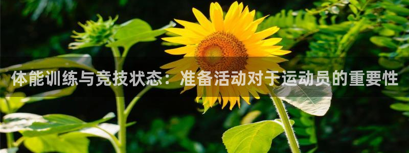 vsport体育官方正版app新能源