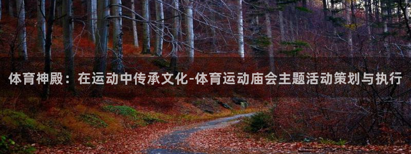 vsport体育官网下载软件：体育神殿：在运动中传承文化-体