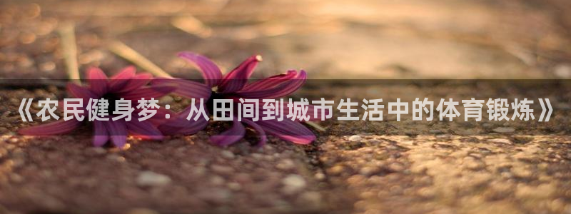 vsport体育官方正版app娱乐是那个系列的台子：《农民健