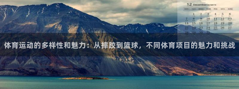 vsport体育官方平台体育