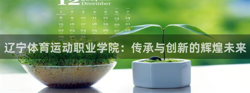 vsport体育官网下载平台APP：辽宁体育运动职业