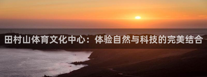 vsport体育官网下载是干嘛的公司