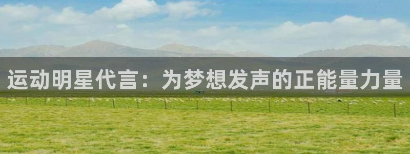vsport体育官方正版app五金厂：运动明星代言：为梦想发