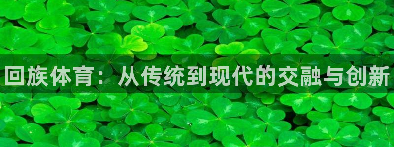 vsport体育官方正版app集团logo：回族体育：从传统