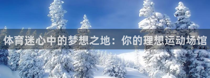 vsport体育官方正版app集团：体育迷心中的梦想之地：你