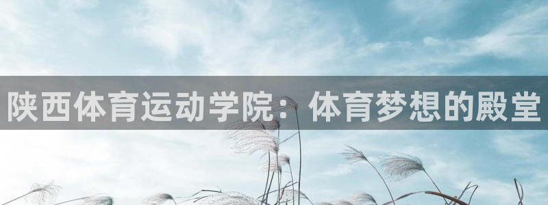 vsport体育官方正版app代理：陕西体育运动学院：体育梦