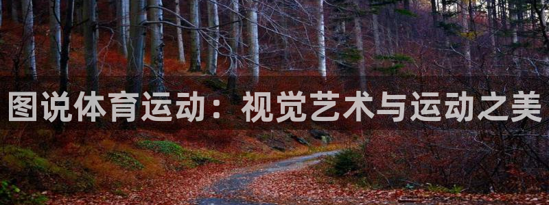 vsport体育官网下载平台是正规平台吗安全吗：图说体育运动