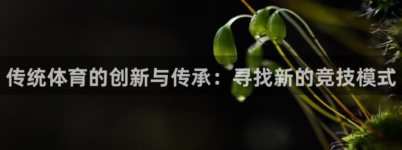 vsport体育官网下载是干嘛的公司：传统体育的创新与传承：