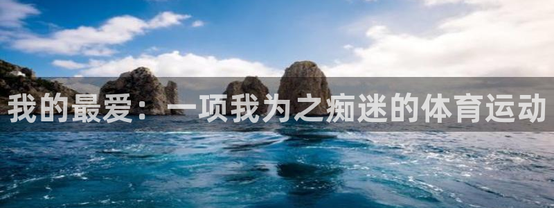 注册vsport体育官方正版app：我的最爱：一项我为之痴迷