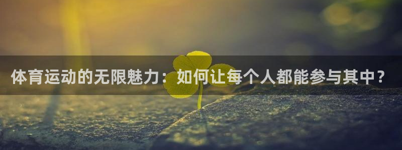 vsport体育官方正版app娱乐首页网站大全