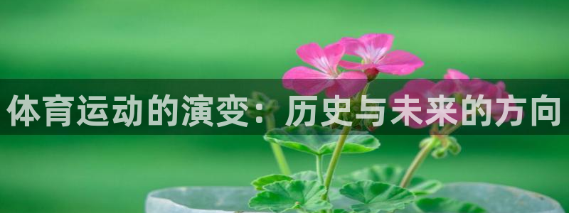 海南vsport体育官网下载